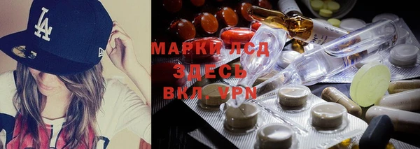 эйфоретик Нея