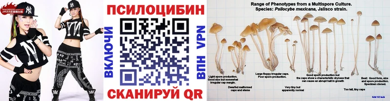 Псилоцибиновые грибы прущие грибы  как найти наркотики  Лихославль 